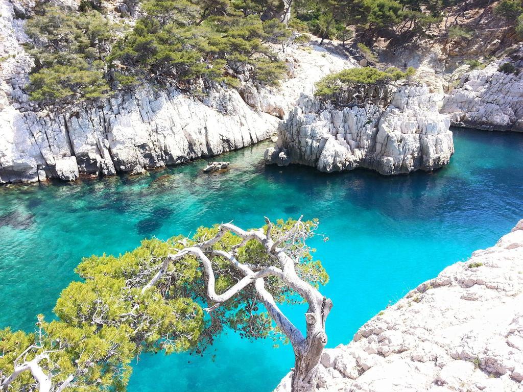 La Palmeraie Marseilles Exterior foto