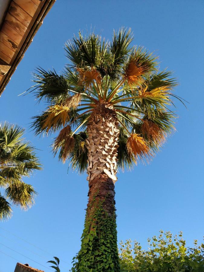 La Palmeraie Marseilles Exterior foto