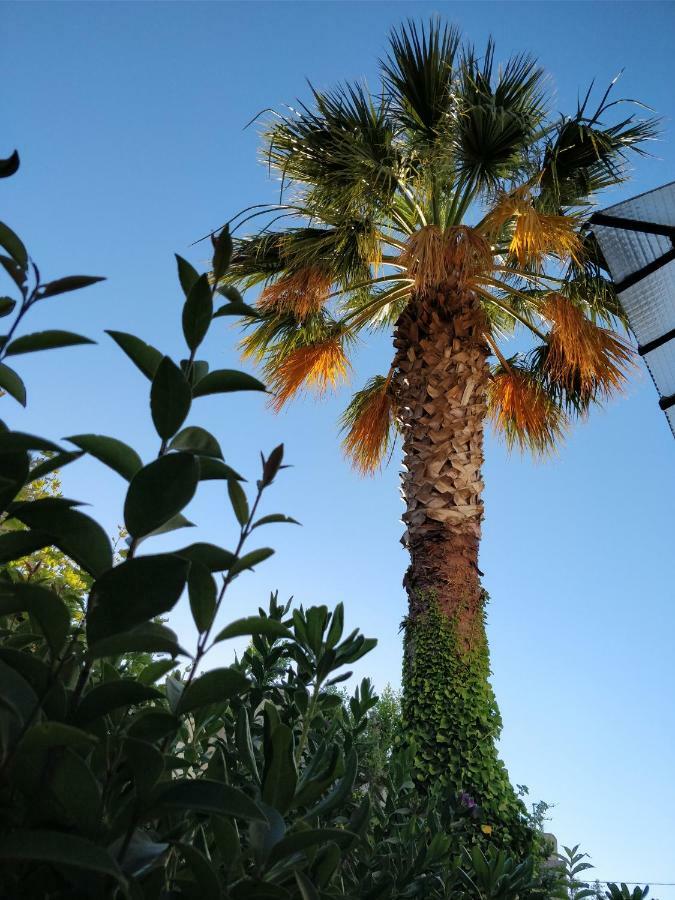 La Palmeraie Marseilles Exterior foto